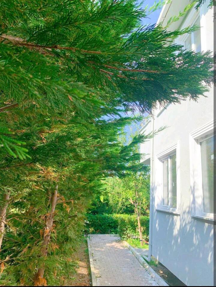 Ahmet Teacher Hotel, 5 Minutes From The Airport Arnavutkoy Εξωτερικό φωτογραφία