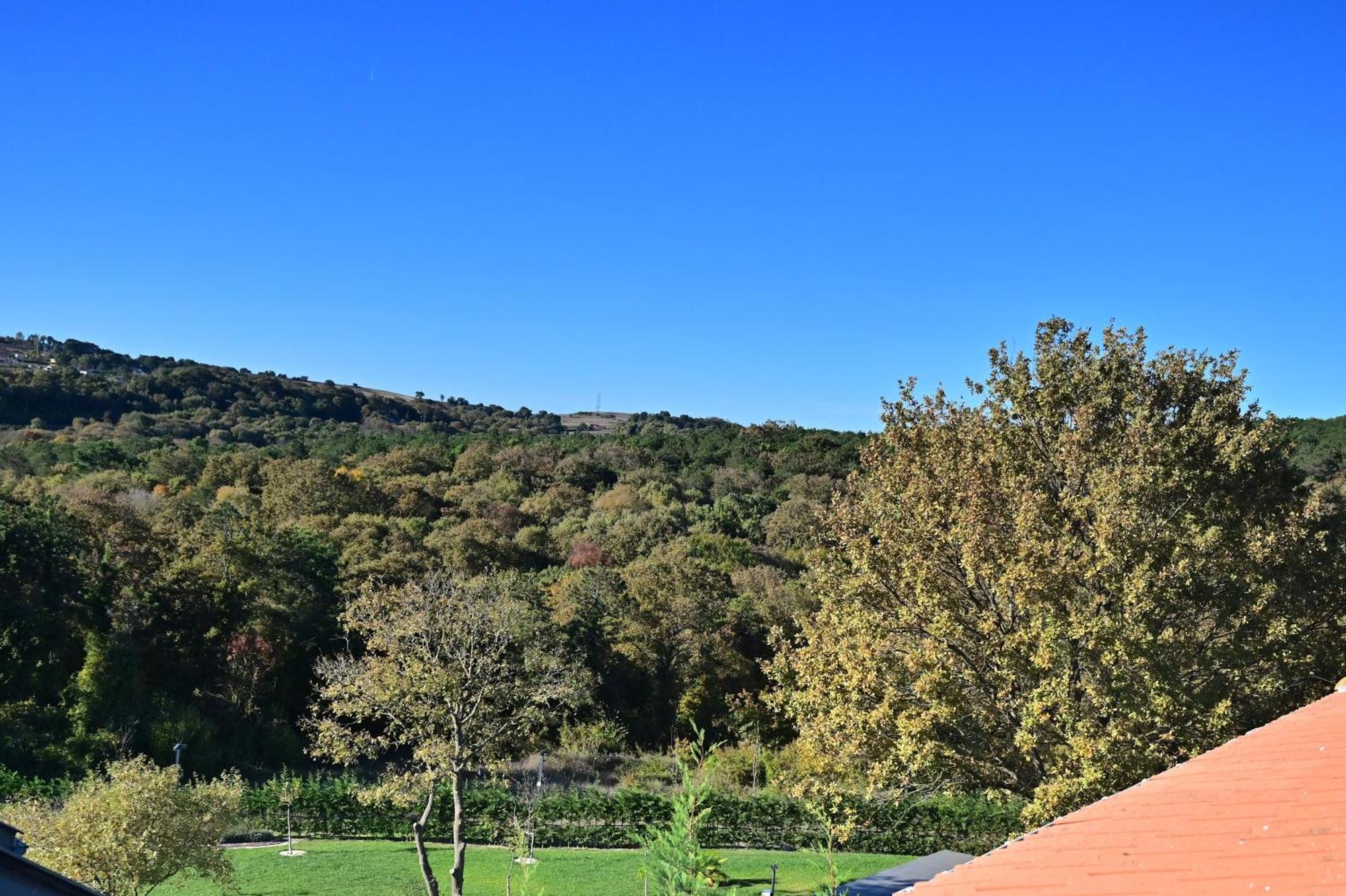 Ahmet Teacher Hotel, 5 Minutes From The Airport Arnavutkoy Εξωτερικό φωτογραφία